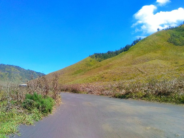 spot foto terbaik bromo - bukit teletabies