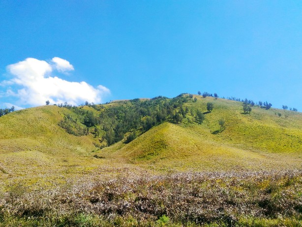 spot foto terbaik bromo 9