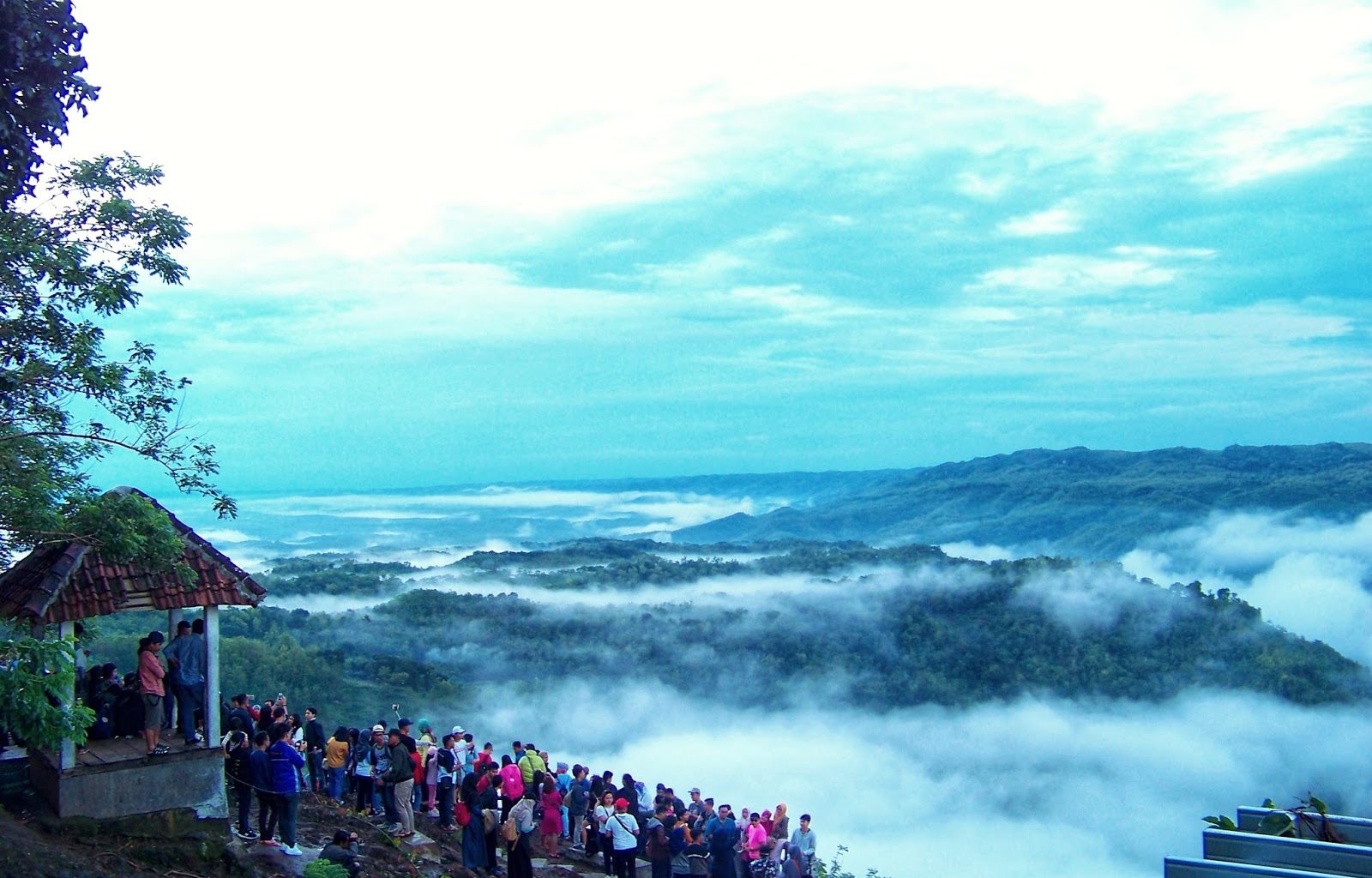 kebun buah mangunan jogja