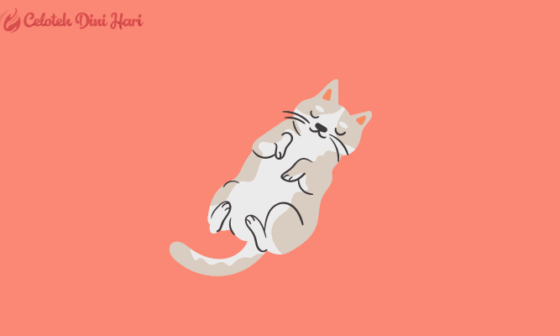 Cara Merawat Kucing Sakit Agar Cepat Sembuh 2 cara merawat kucing agar cepat sembuh