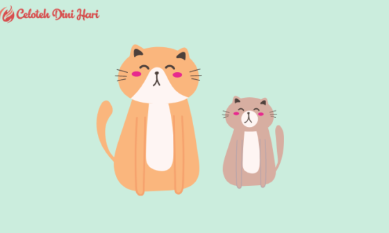 11 Cara Menghilangkan Jamur Pada Kucing Paling Ampuh 22 Cara Menghilangkan Jamur Pada Kucing