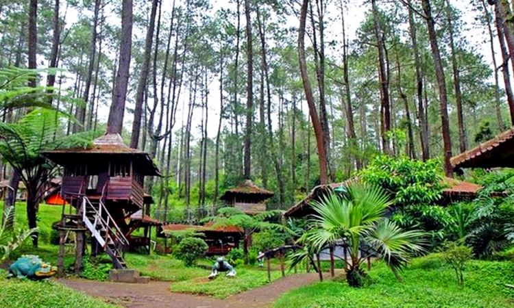 Rumah-Pohon-Jatiasih-wisata-murah-Bekasi