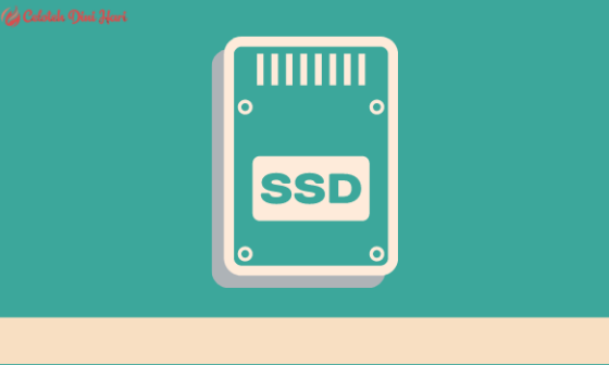 Upgrade Harddisk ke SSD Untuk Laptop Kentang? Apakah Worth It? 28 Upgrade Harddisk ke SSD Untuk Laptop Kentang
