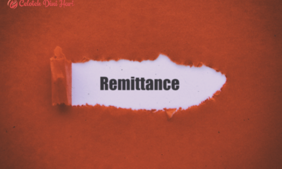 Mengenal Remittance Hingga Layanan terbaik untuk Transfer 8 Remittance