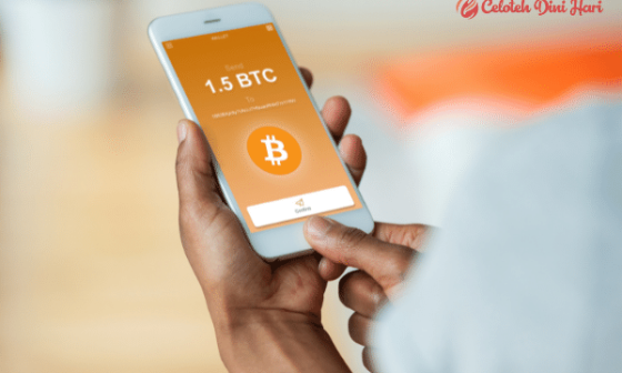 Tertarik Investasi Bitcoin? Intip Dulu Tipsnya bagi Pemula  7 Investasi Bitcoin