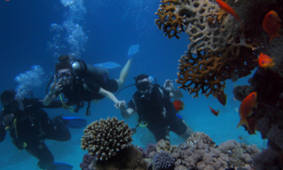 Salurkan Hobi yang Sehat dengan Kursus Scuba Diving 14 kursus scuba diving