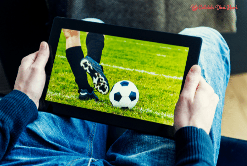 7 Fakta Menarik Tentang Piala Dunia 2022 14 piala dunia
