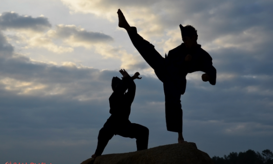 Berbagai Macam Bela Diri dari Dalam Maupun Luar Negeri 9 Berbagai Macam Bela Diri dari Dalam Maupun Luar Negeri