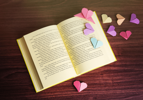 Novel Romance
